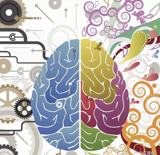 1551770858371095.jpg 640.webp.jpg